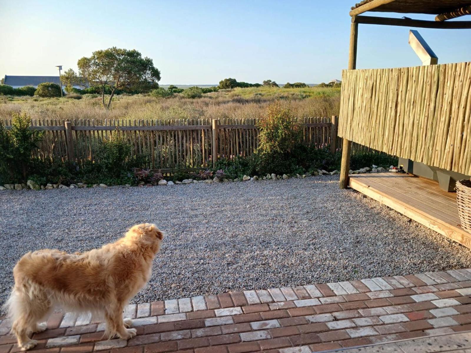 Camelot Cottages Langebaan Εξωτερικό φωτογραφία