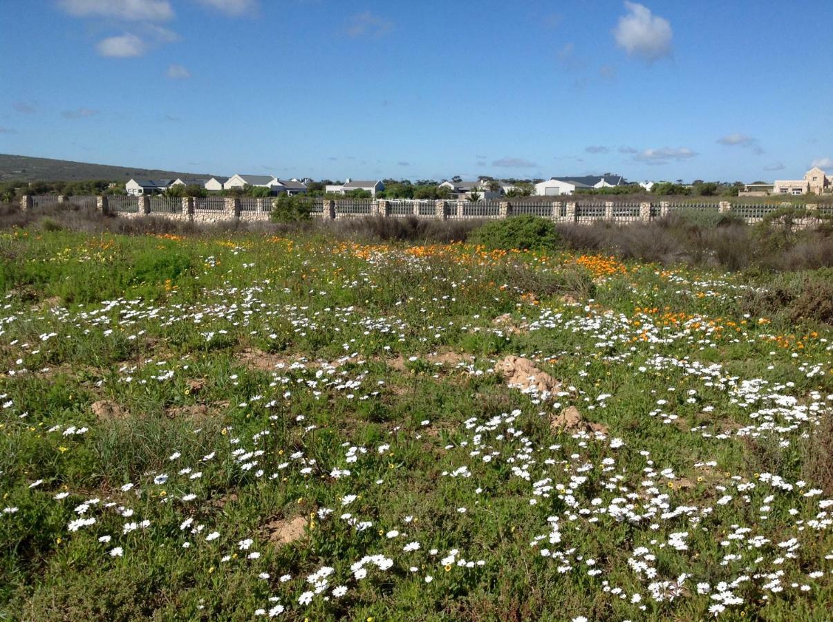 Camelot Cottages Langebaan Εξωτερικό φωτογραφία